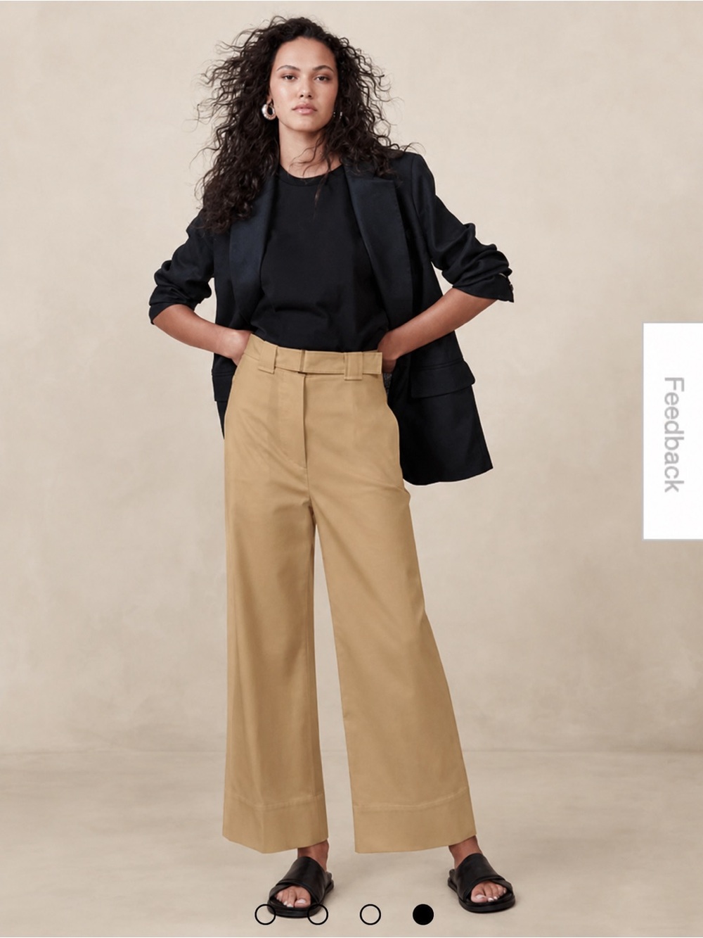 Banana Republic Oceanside Tan Wide-Leg Crop Pants NWOT